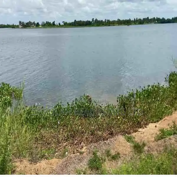 Island Property for Sale – 110 Plots (15 Acres) – Big Ada Ghana