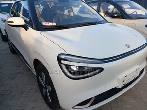 New Dongfeng Nammi 01 2024 White
