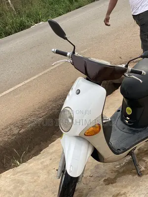 Yamaha 2018 Brown