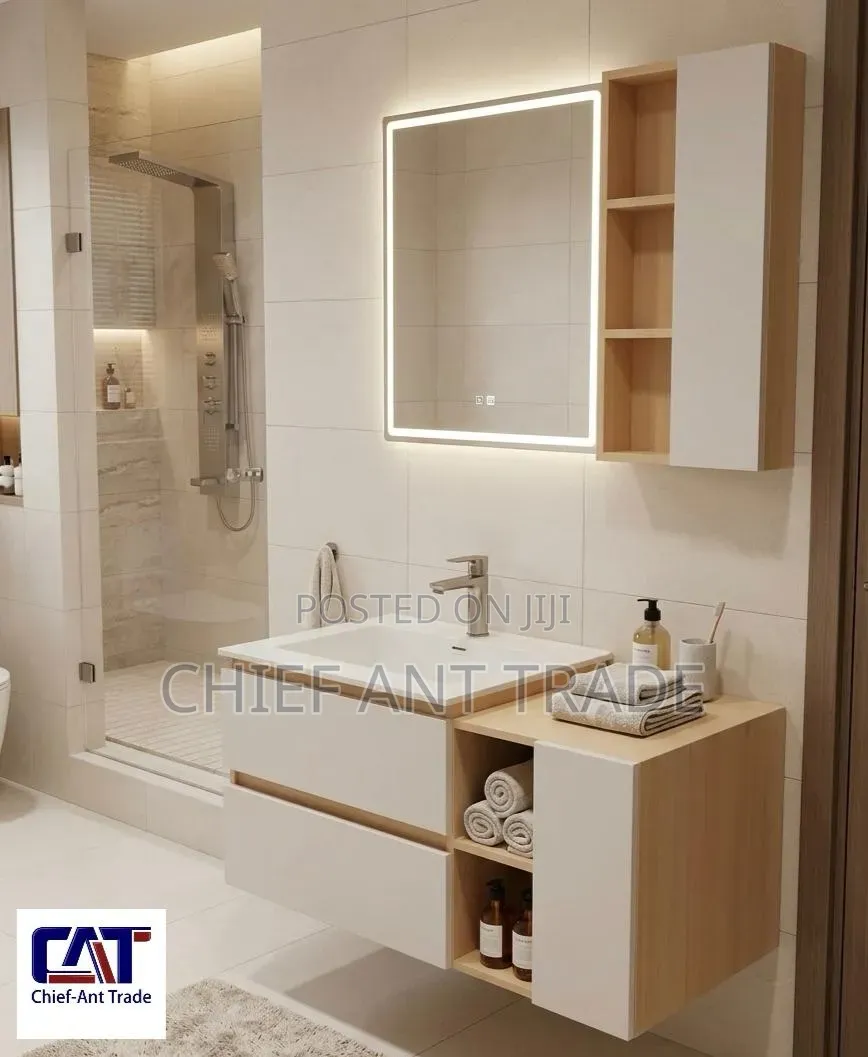 Cabinet Basin With Mirror