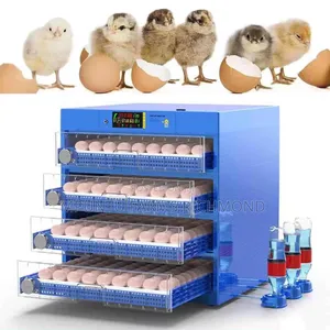 Incubator (400+Egg Capacity Automatic Incubator)