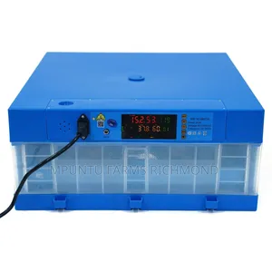 Incubator (64egg Capacity Automatic Incubator)