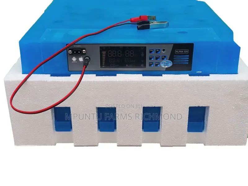 Incubator (64egg Capacity Automatic Incubator)