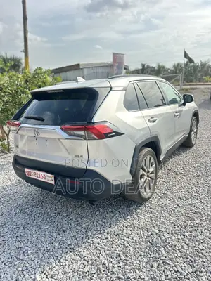 Toyota RAV4 XLE Premium FWD 2019 Silver