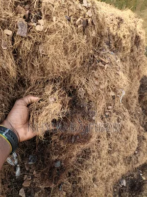 Coconut Fiber Residue For Mulching