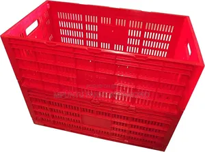 Egg Transporting Crates