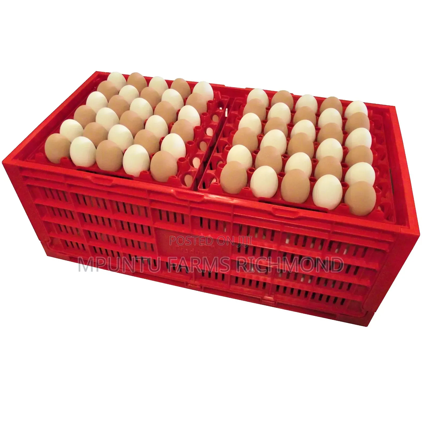 Egg Transporting Crates