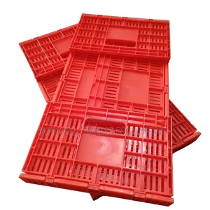Egg Transporting Crates