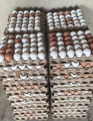 Fresh Eggs Available, We Do Delivery