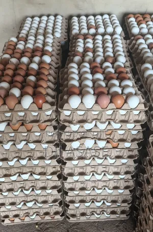 Fresh Eggs Available, We Do Delivery