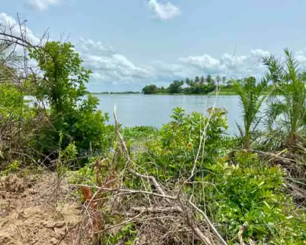 Riverfront Land for Sale – Big Ada (Angornya)