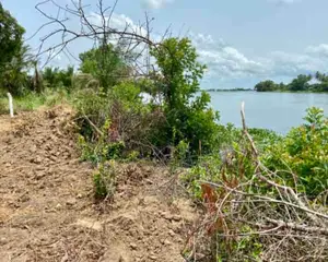 Riverfront Land for Sale – Big Ada (Angornya)
