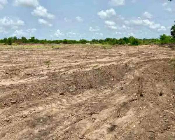 Riverfront Land for Sale – Big Ada (Angornya)