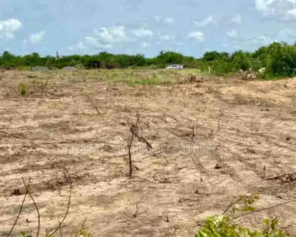 Riverfront Land for Sale – Big Ada (Angornya)