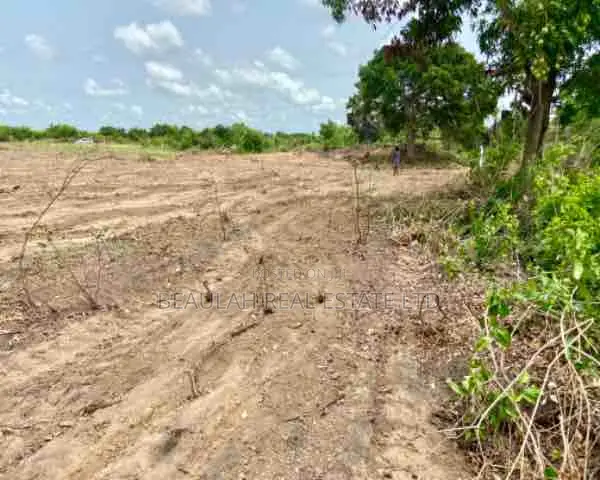 Riverfront Land for Sale – Big Ada (Angornya)