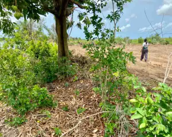 Riverfront Land for Sale – Big Ada (Angornya)