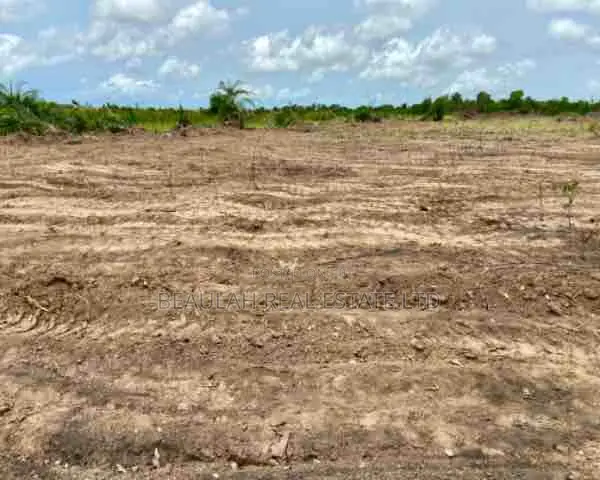 Riverfront Land for Sale – Big Ada (Angornya)