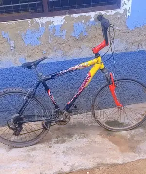 Home Used Bicycle