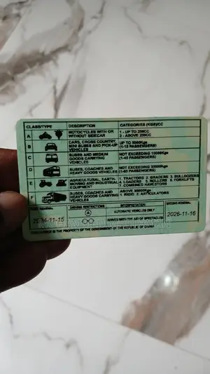 Driver Cv (A Professional)