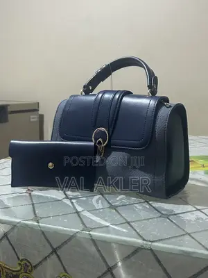 Ladies Hand Bag