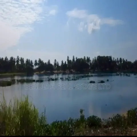 Waterfront Land for Sale – Big Ada (Angornya)