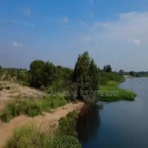 Waterfront Land for Sale – Big Ada (Angornya)