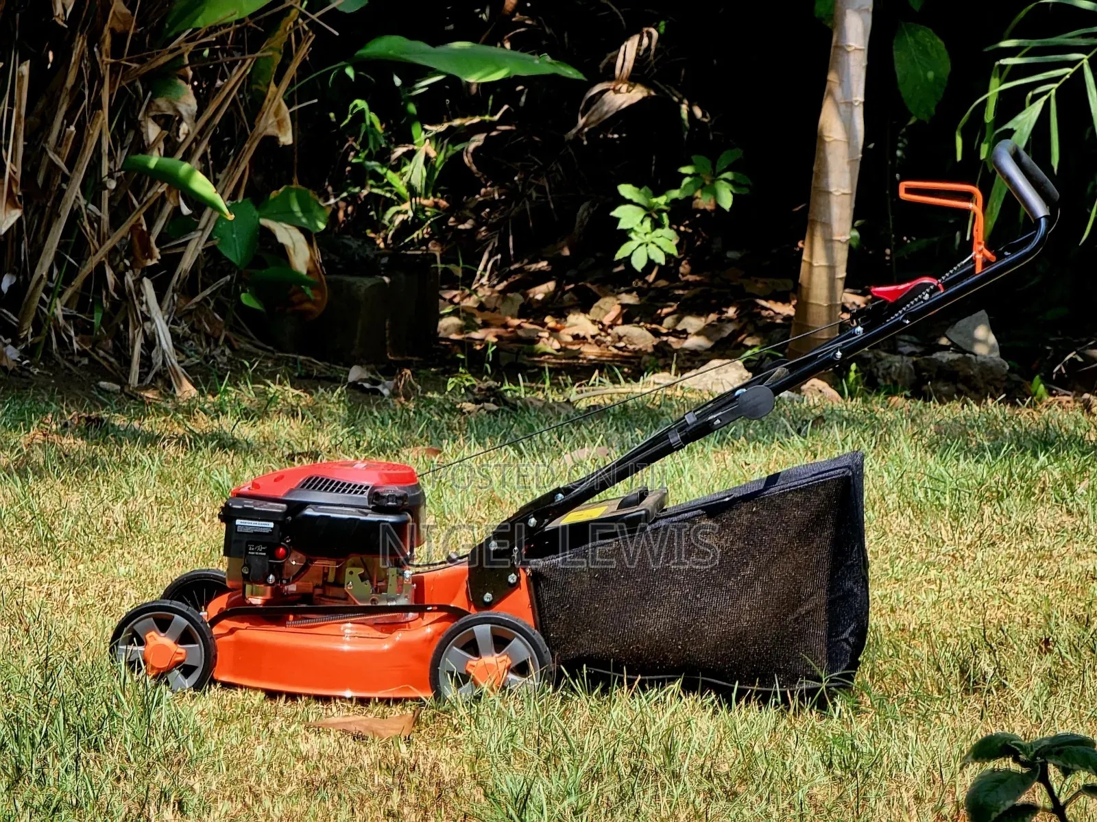 Loncin Self-Propelled Mower