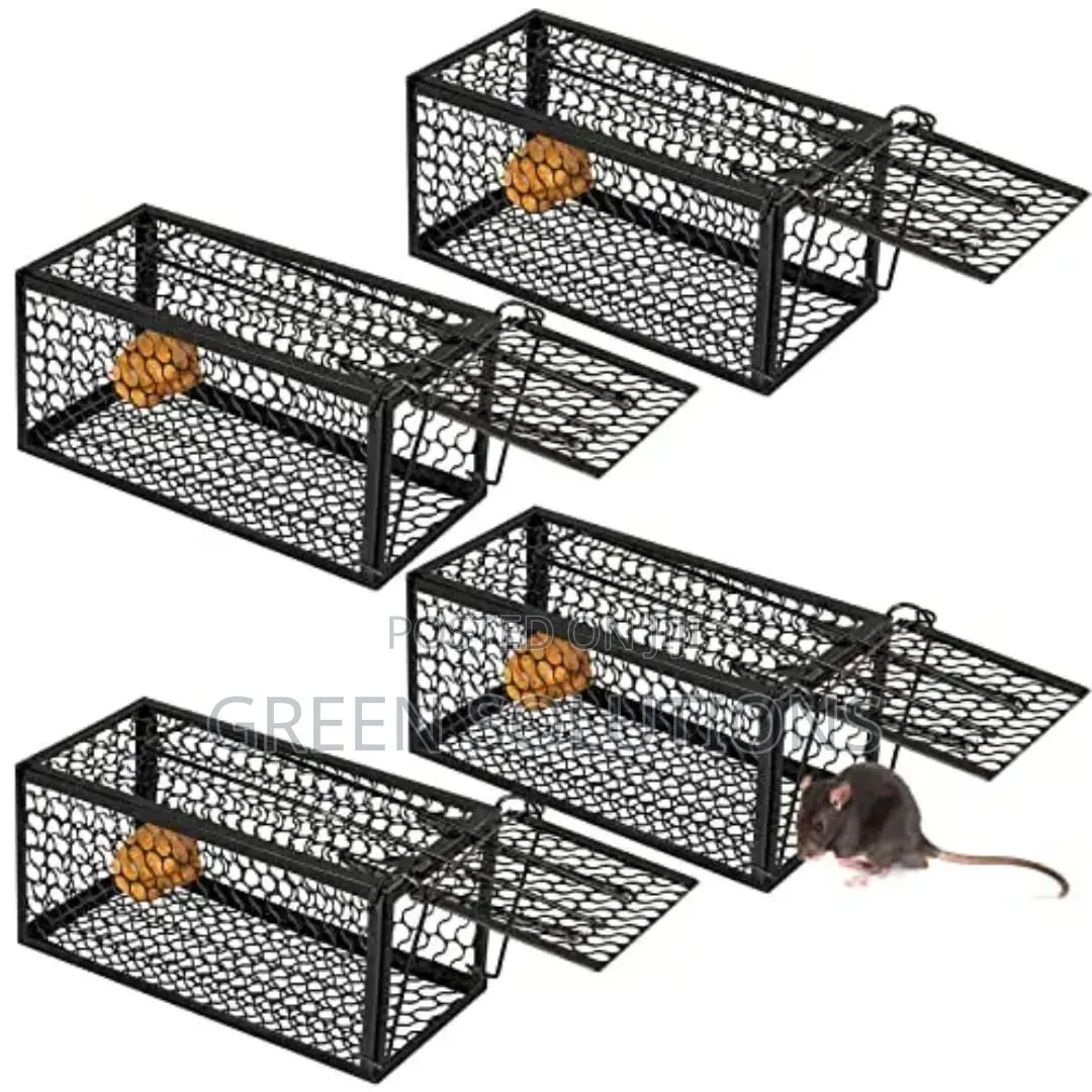Cats And Rats Trap