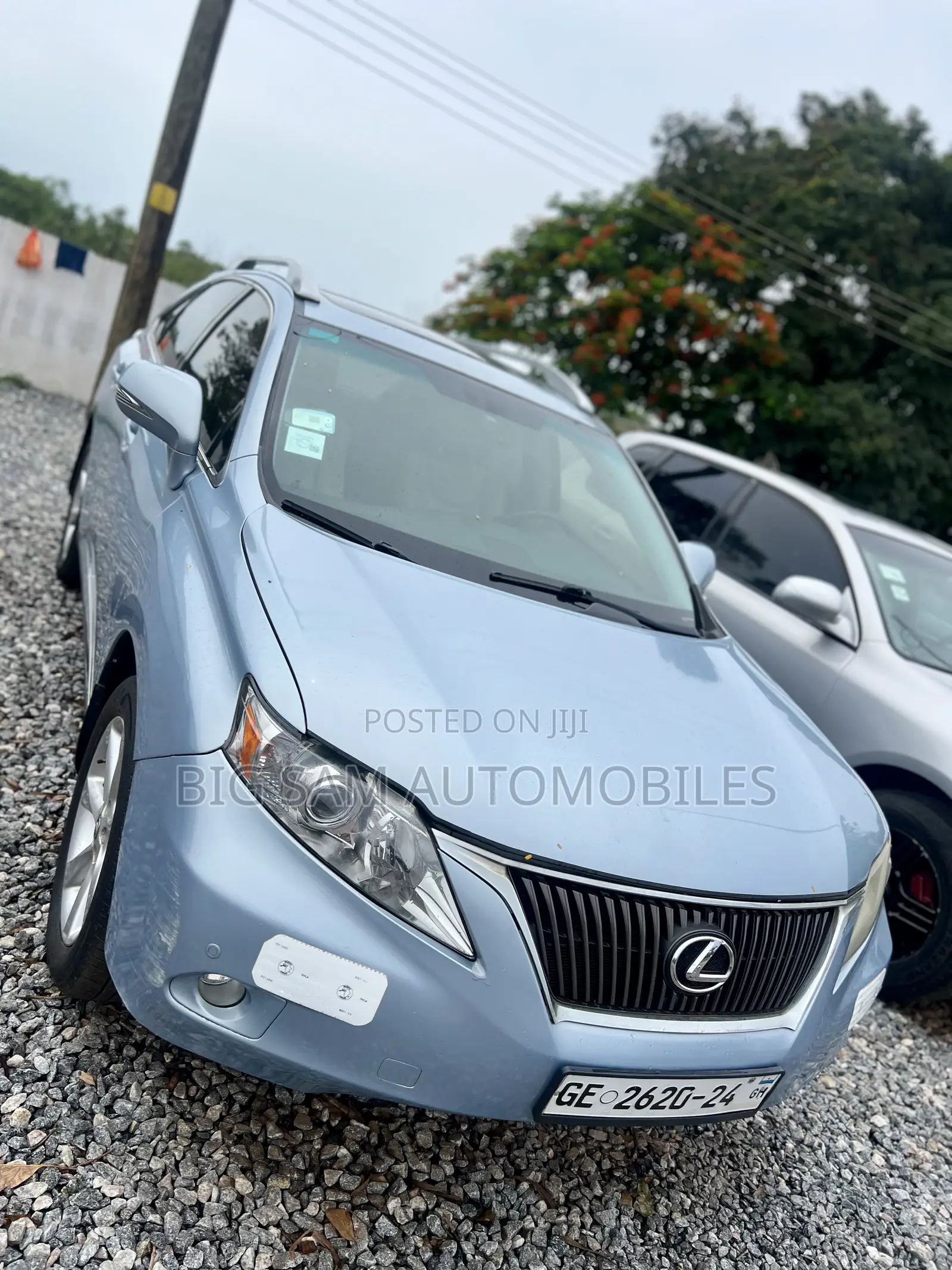Lexus RX 2010 Blue