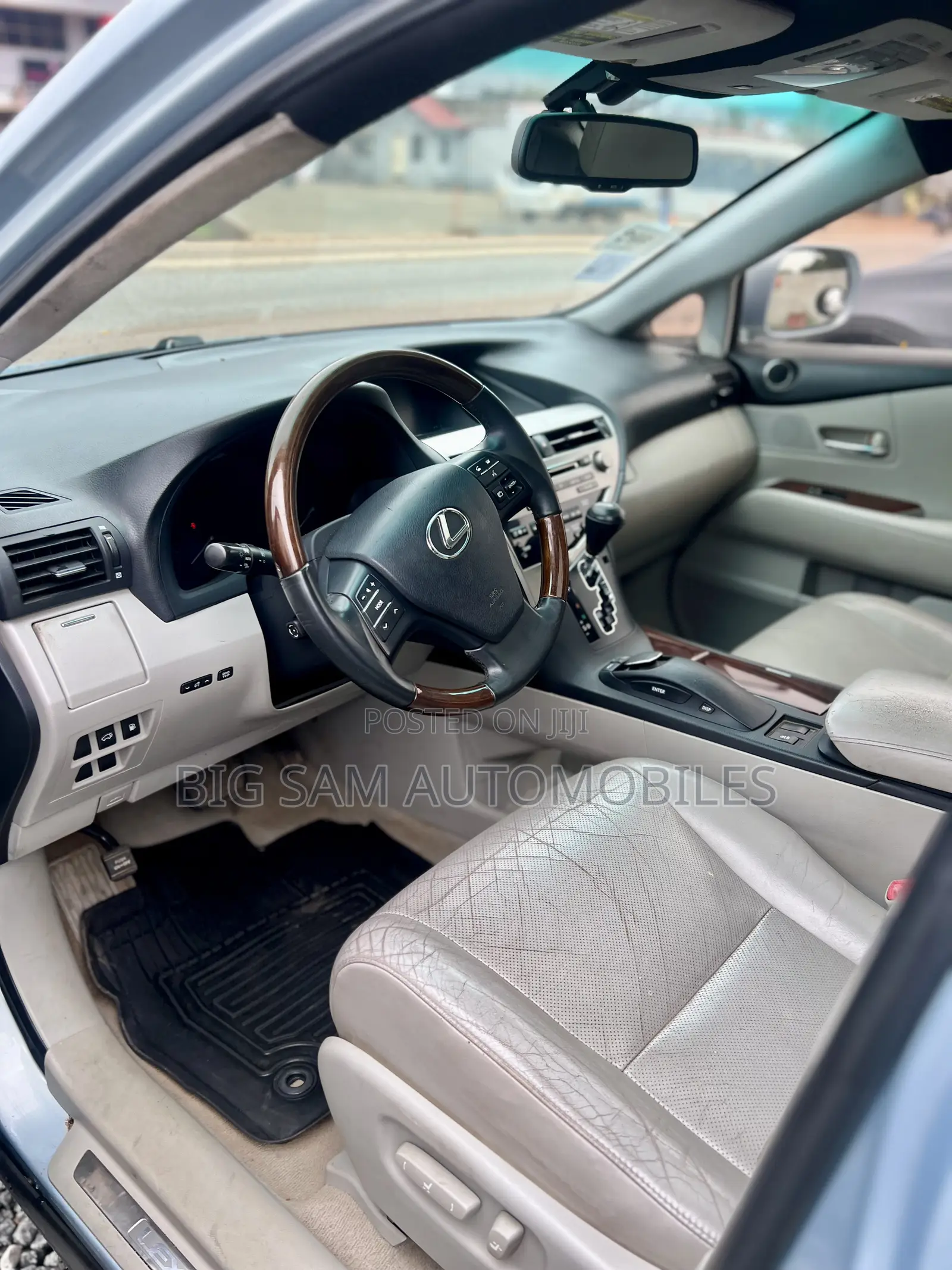Lexus RX 2010 Blue
