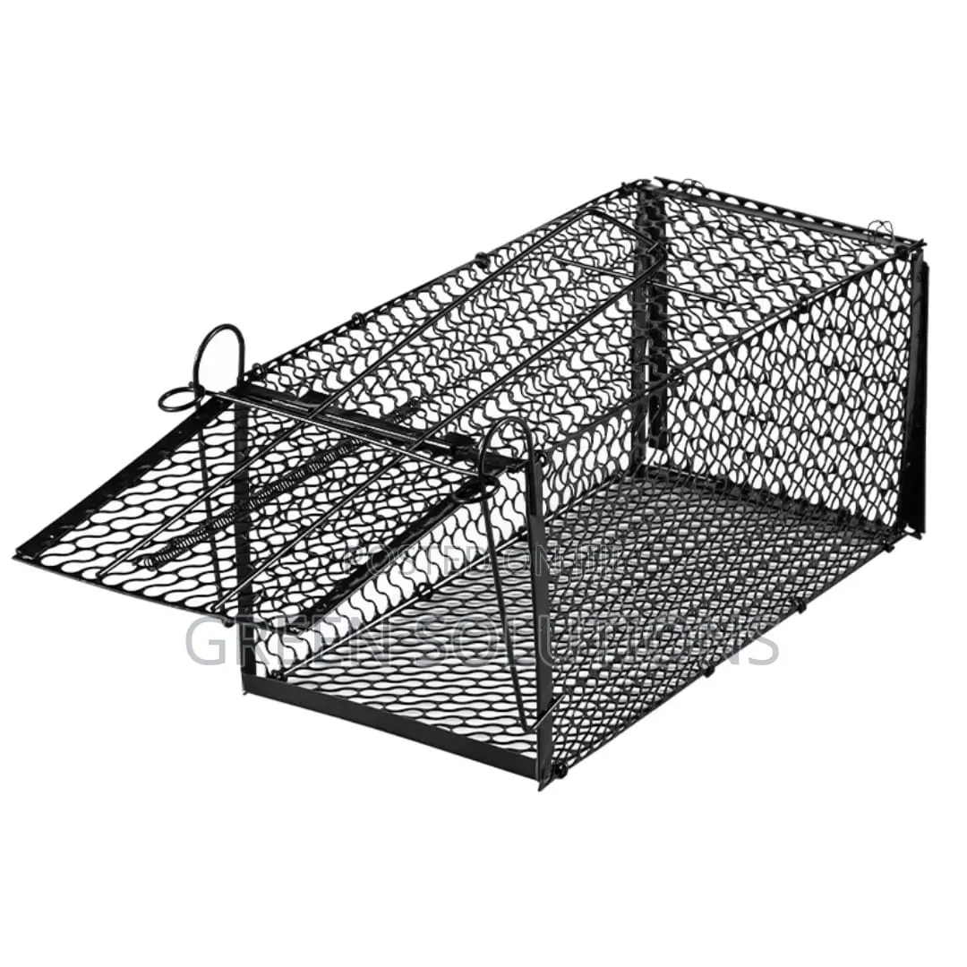 Cats And Rats Trap