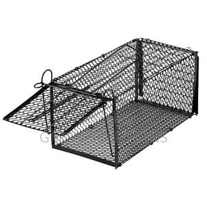 Cats And Rats Trap