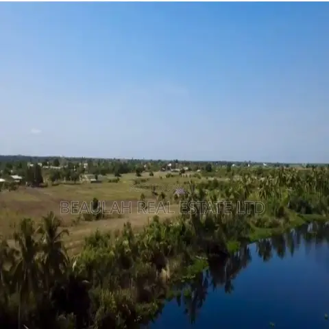Dispute-Free Waterfront Land for Sale in Big Ada – Dzitorkoe