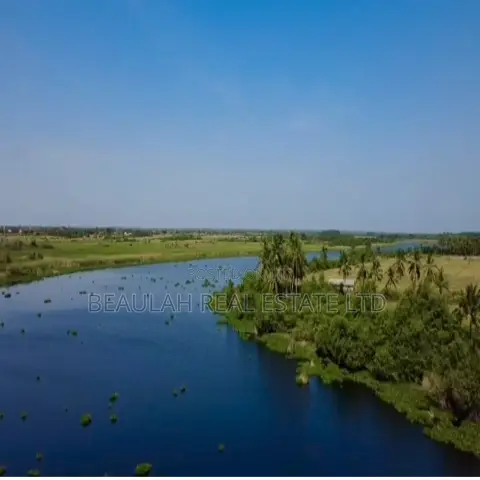 Dispute-Free Waterfront Land for Sale in Big Ada – Dzitorkoe