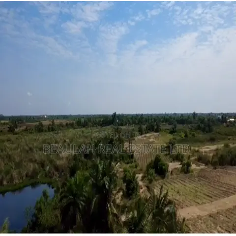 Dispute-Free Waterfront Land for Sale in Big Ada – Dzitorkoe