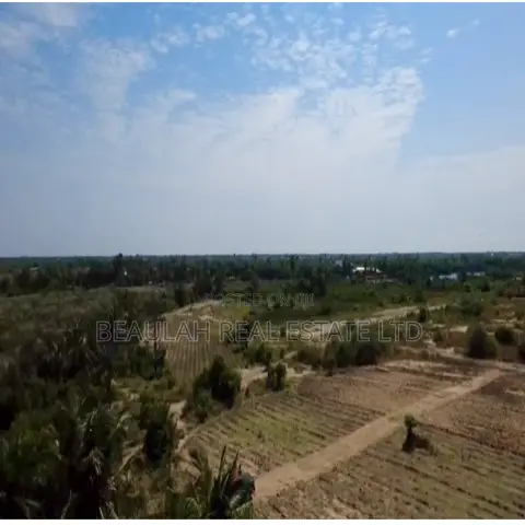 Dispute-Free Waterfront Land for Sale in Big Ada – Dzitorkoe