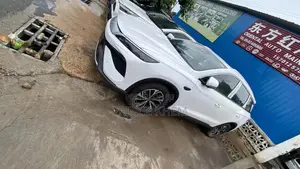 New BYD Song Pro DM-i 2025 White