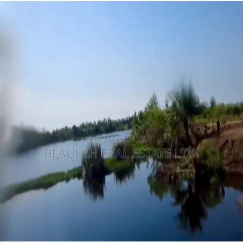 9 Acres of Riverfront Land for Sale – Dzitorkoe, Big Ada