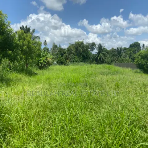 Title-Registered Riverfront Land for Sale – Sokpoe