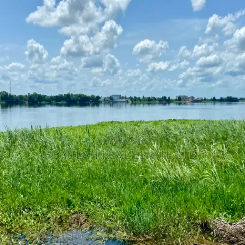Title-Registered Riverfront Land for Sale – Sokpoe