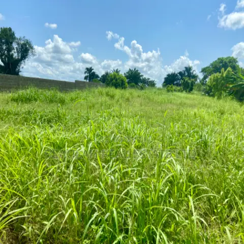 Title-Registered Riverfront Land for Sale – Sokpoe