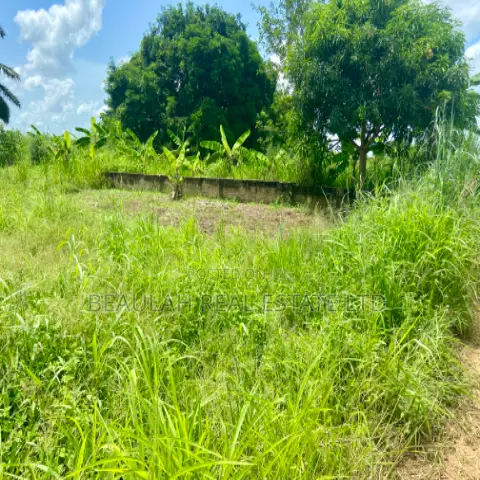 Title-Registered Riverfront Land for Sale – Sokpoe