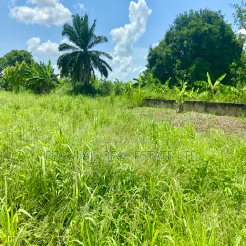 Title-Registered Riverfront Land for Sale – Sokpoe