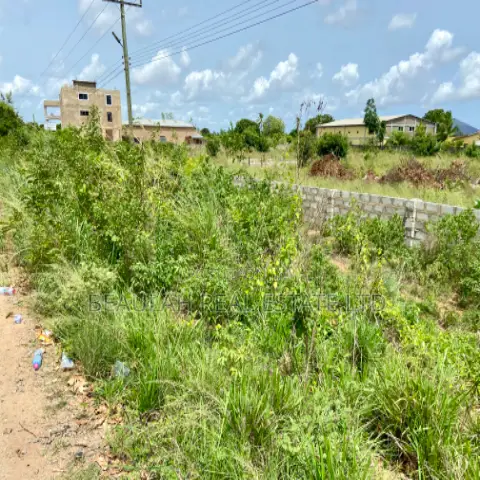 Roadside Commercial Land for Sale – Ada Kasseh (Accra–Aflao Highway)