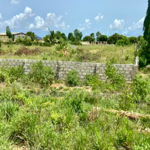 Roadside Commercial Land for Sale – Ada Kasseh (Accra–Aflao Highway)