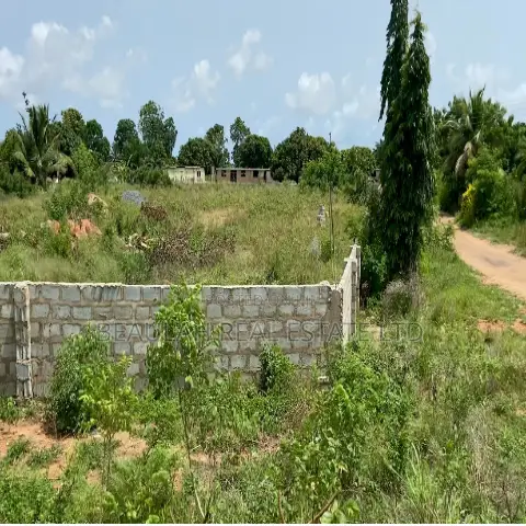 Roadside Commercial Land for Sale – Ada Kasseh (Accra–Aflao Highway)