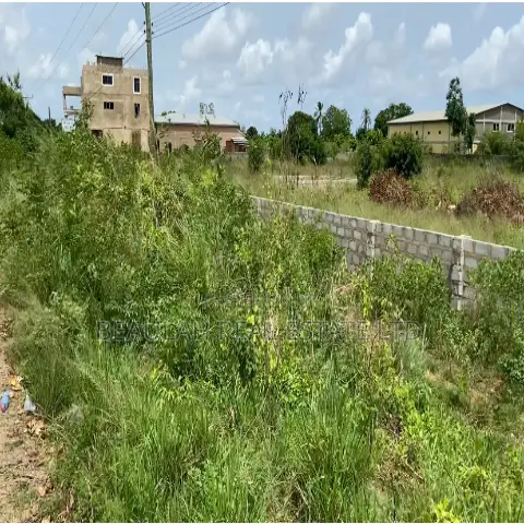 Roadside Commercial Land for Sale – Ada Kasseh (Accra–Aflao Highway)