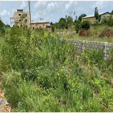 Roadside Commercial Land for Sale – Ada Kasseh (Accra–Aflao Highway)
