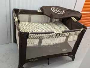 Graco Bassinet And Pack N Go Playpen