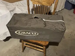 Graco Bassinet And Pack N Go Playpen